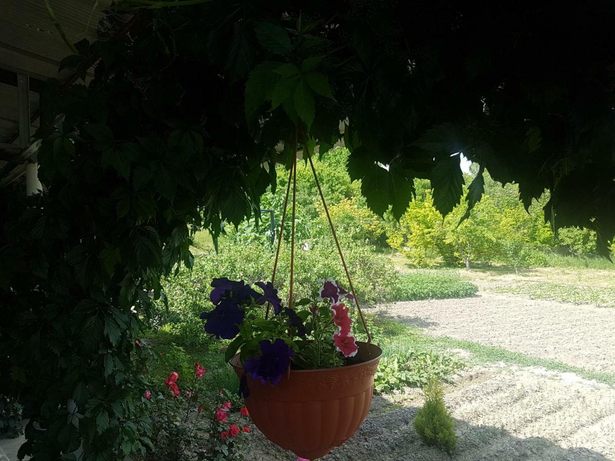 Happy House Hotel Chʼiva Екстериор снимка